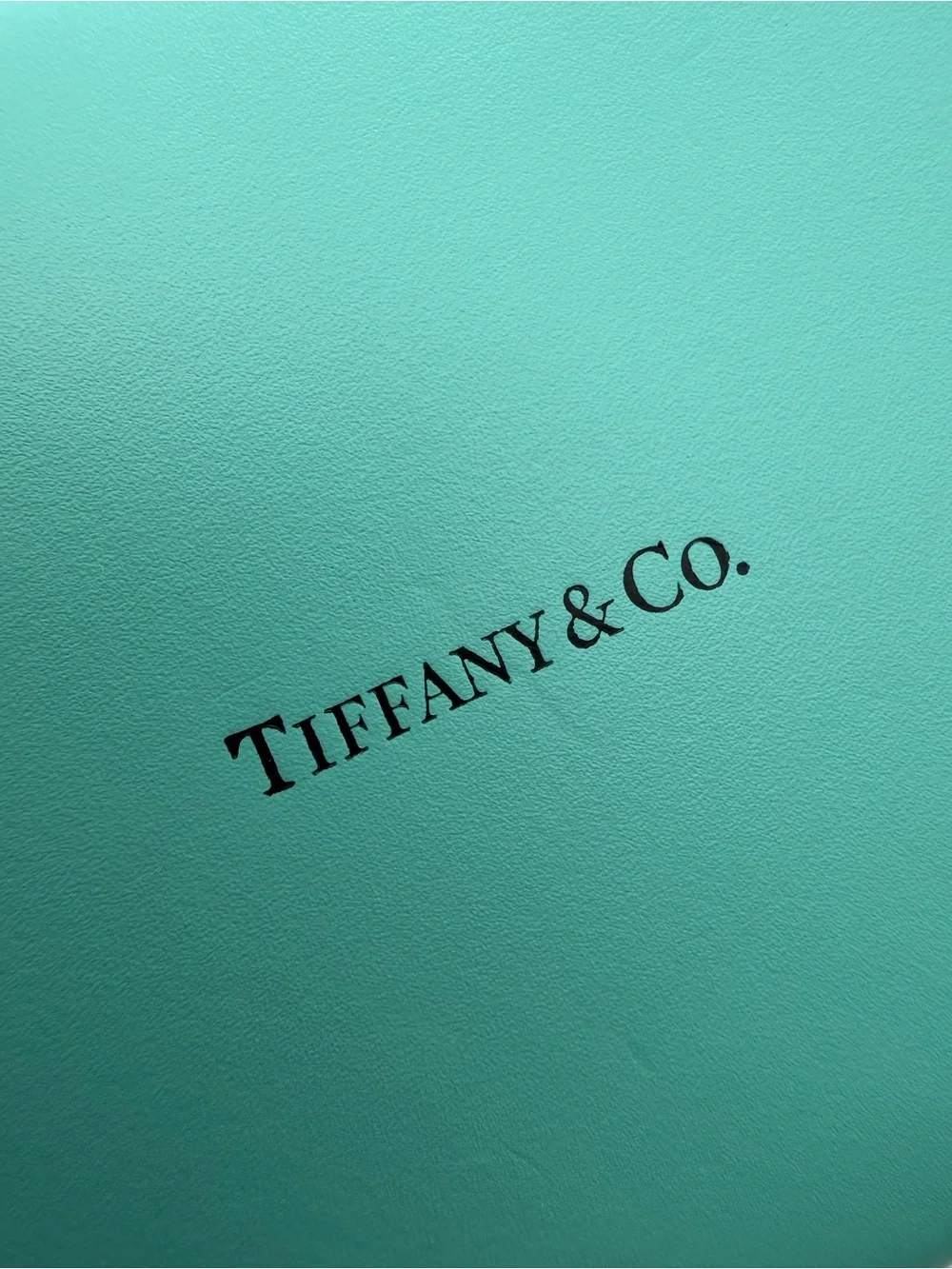 Tiffany & Co. New Small Leather Travel Jewelry Box